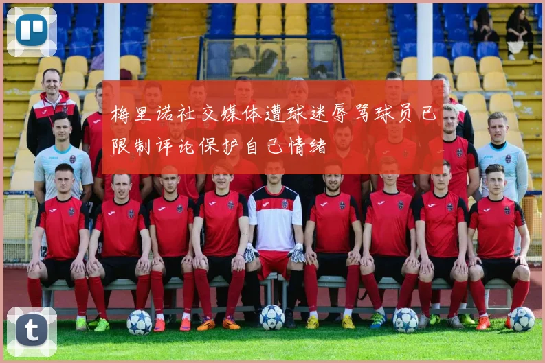 梅里诺社交媒体遭球迷辱骂球员已限制评论保护自己情绪