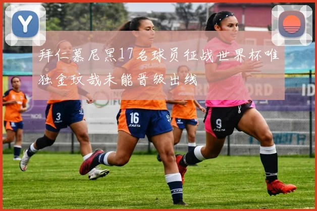 拜仁慕尼黑17名球员征战世界杯唯独金玟哉未能晋级出线